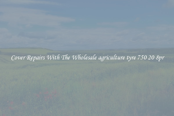  Cover Repairs With The Wholesale agriculture tyre 750 20 8pr 