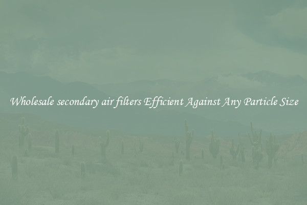Wholesale secondary air filters Efficient Against Any Particle Size