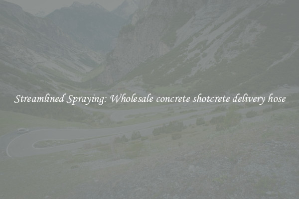 Streamlined Spraying: Wholesale concrete shotcrete delivery hose