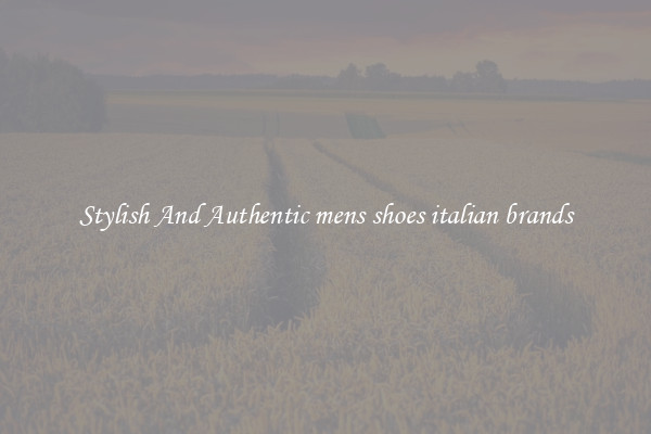 Stylish And Authentic mens shoes italian brands