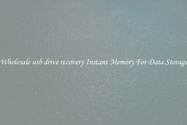 Wholesale usb drive recovery Instant Memory For Data Storage
