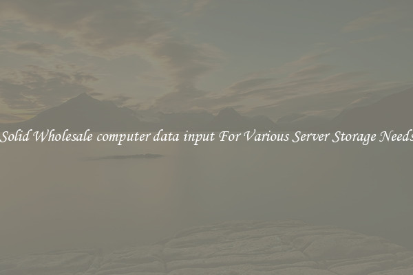 Solid Wholesale computer data input For Various Server Storage Needs