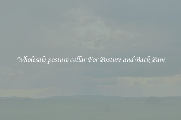 Wholesale posture collar For Posture and Back Pain