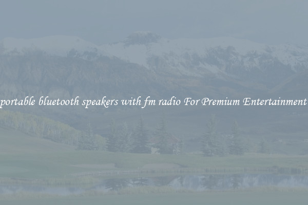 portable bluetooth speakers with fm radio For Premium Entertainment 