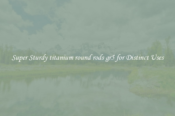 Super Sturdy titanium round rods gr5 for Distinct Uses