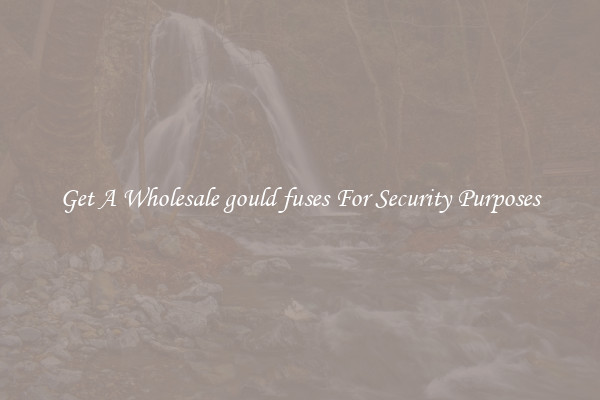 Get A Wholesale gould fuses For Security Purposes