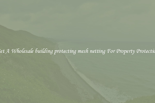 Get A Wholesale building protecting mesh netting For Property Protection