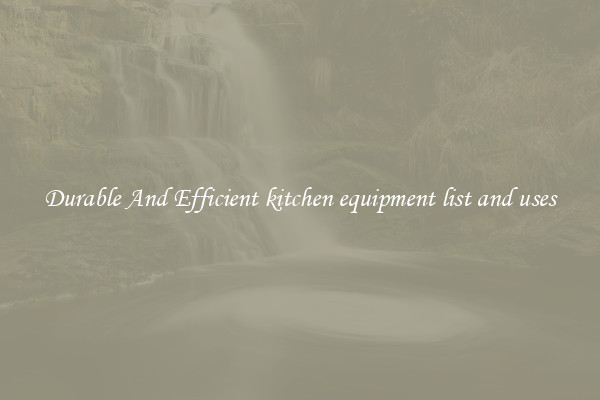 Durable And Efficient kitchen equipment list and uses