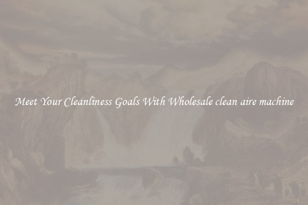 Meet Your Cleanliness Goals With Wholesale clean aire machine