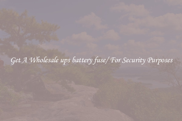 Get A Wholesale ups battery fuse/ For Security Purposes