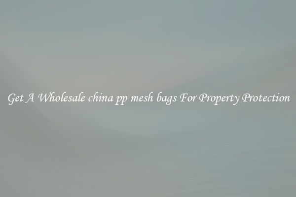 Get A Wholesale china pp mesh bags For Property Protection