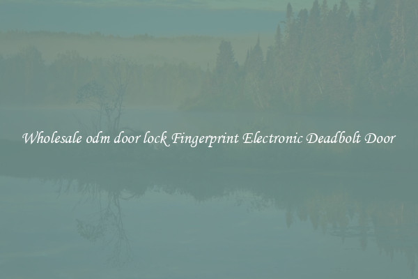 Wholesale odm door lock Fingerprint Electronic Deadbolt Door 