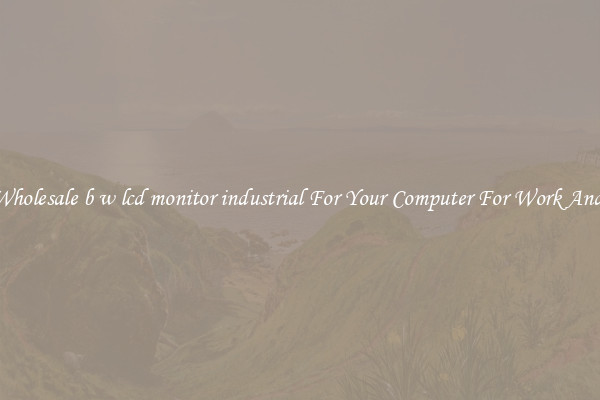 Crisp Wholesale b w lcd monitor industrial For Your Computer For Work And Home