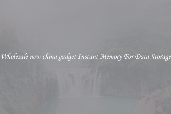 Wholesale new china gadget Instant Memory For Data Storage