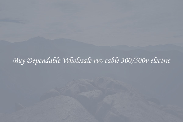 Buy Dependable Wholesale rvv cable 300/300v electric
