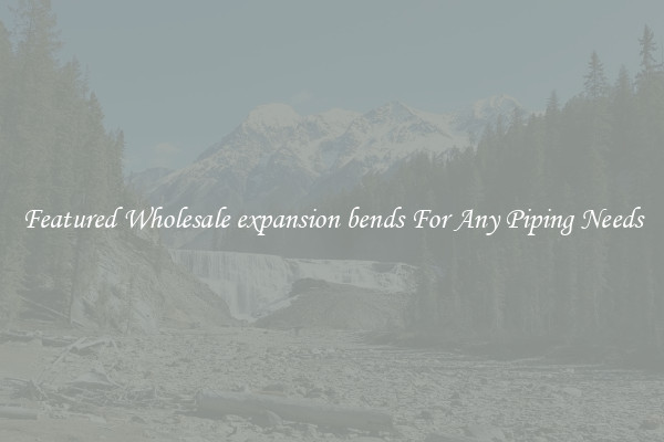 Featured Wholesale expansion bends For Any Piping Needs