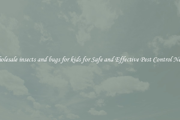 Wholesale insects and bugs for kids for Safe and Effective Pest Control Needs