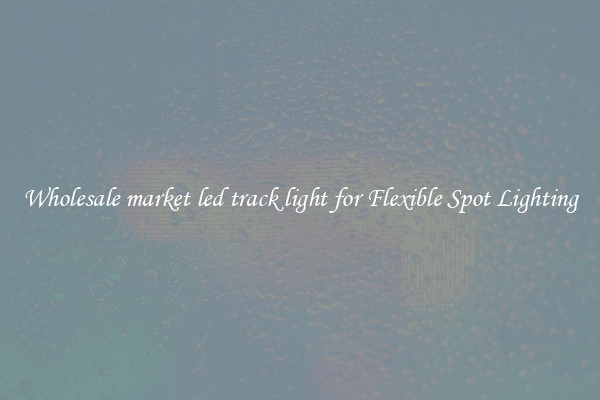 Wholesale market led track light for Flexible Spot Lighting