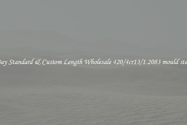 Buy Standard & Custom Length Wholesale 420/4cr13/1.2083 mould steel